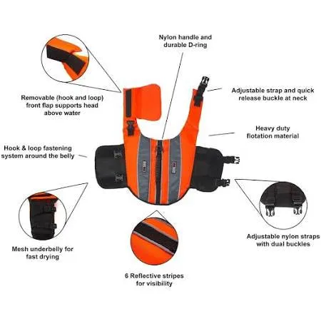 Life Vest