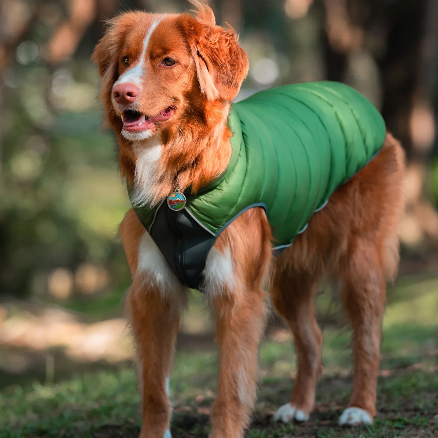 Red Dingo Puffer Jackets